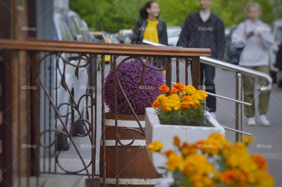 several bright city flower beds and passers-by