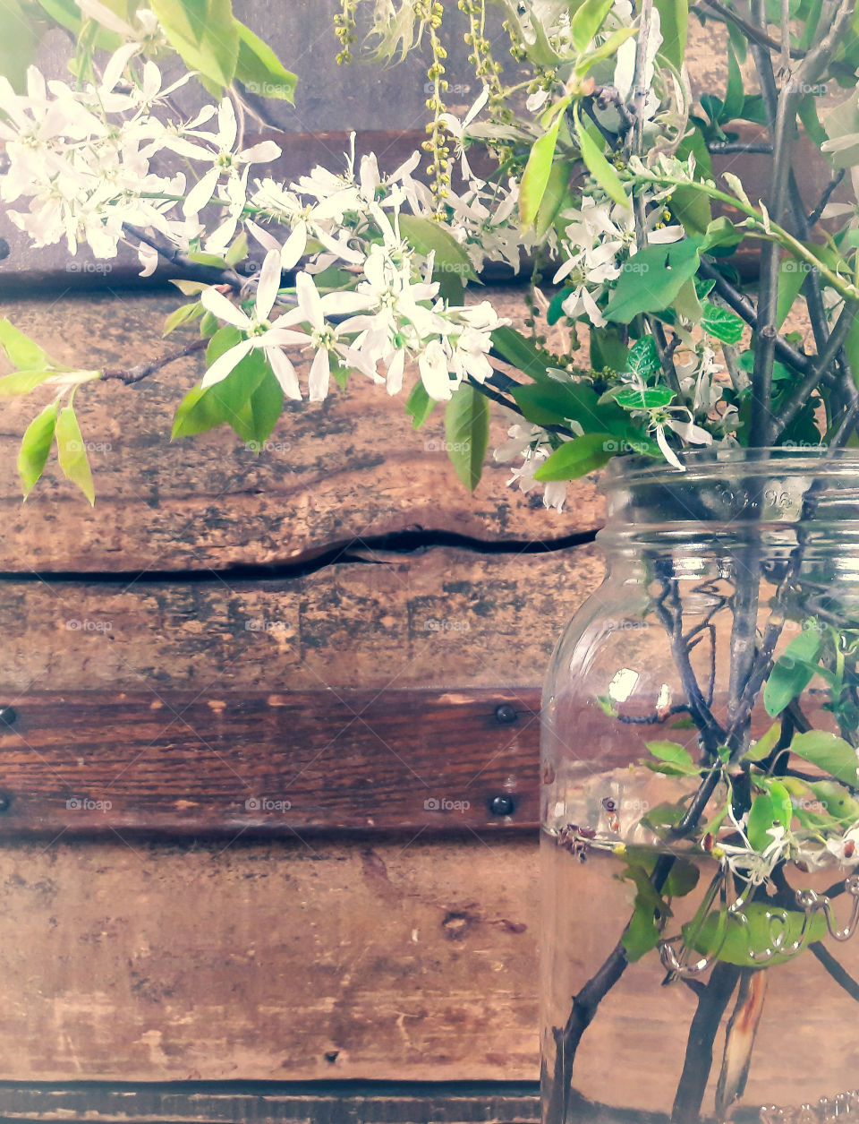 Bring the outdoors, indoors