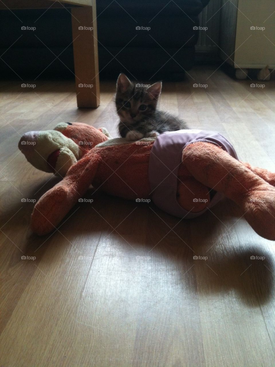 Kitty and tigger 