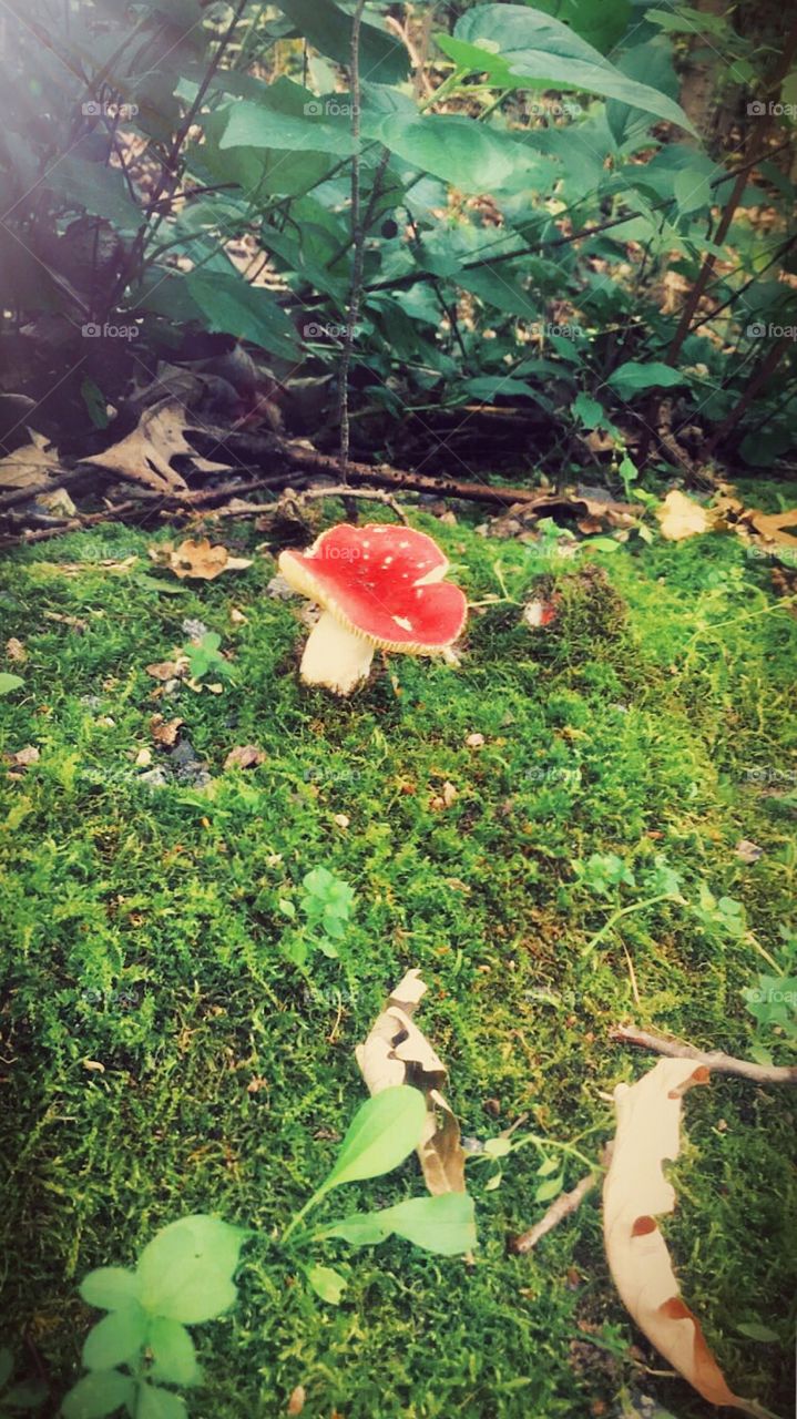 It's the little things