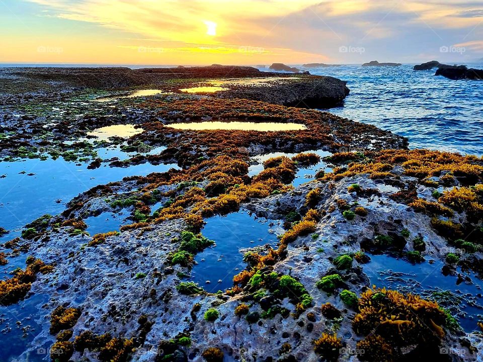 sunset over the ocean, late afternoon sunset with beautiful beach rocks and water. The tide is busy going out leaving little pools of water on the rocks
