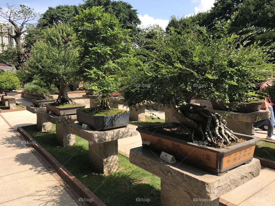 Chi Lin nunnery Hong Kong