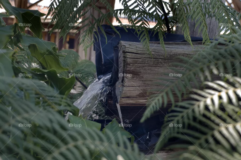 Water