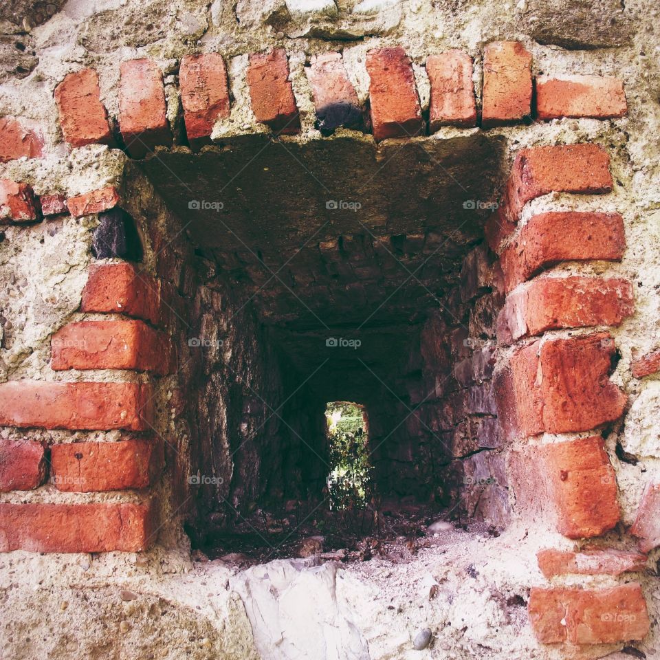 A small tunnel with plants in the wall in Saint-Petersburg, Russia