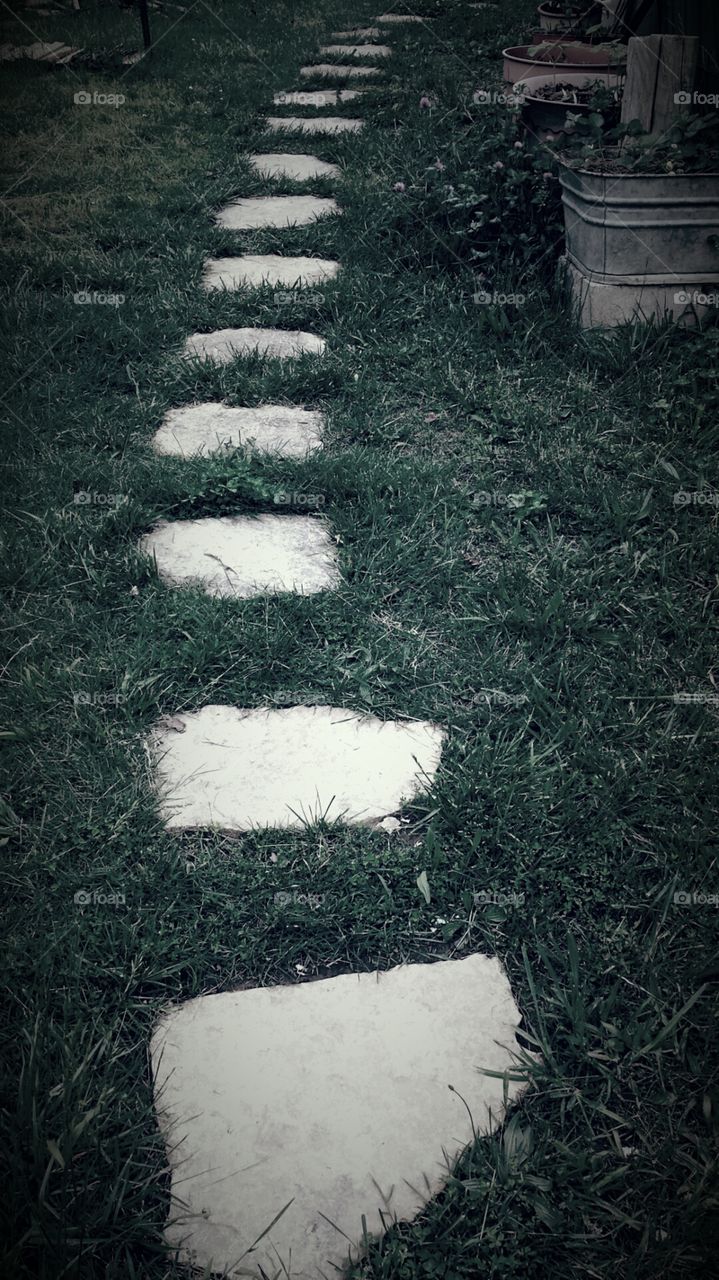 Flagstone Path. Walkway