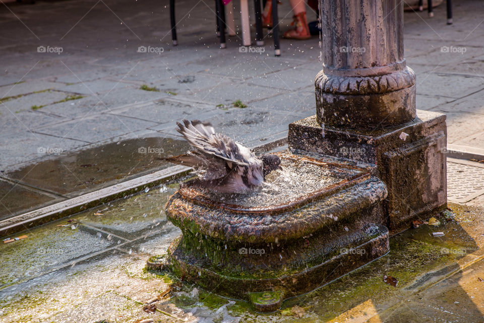 Old, Street, Architecture, Stone, Waste