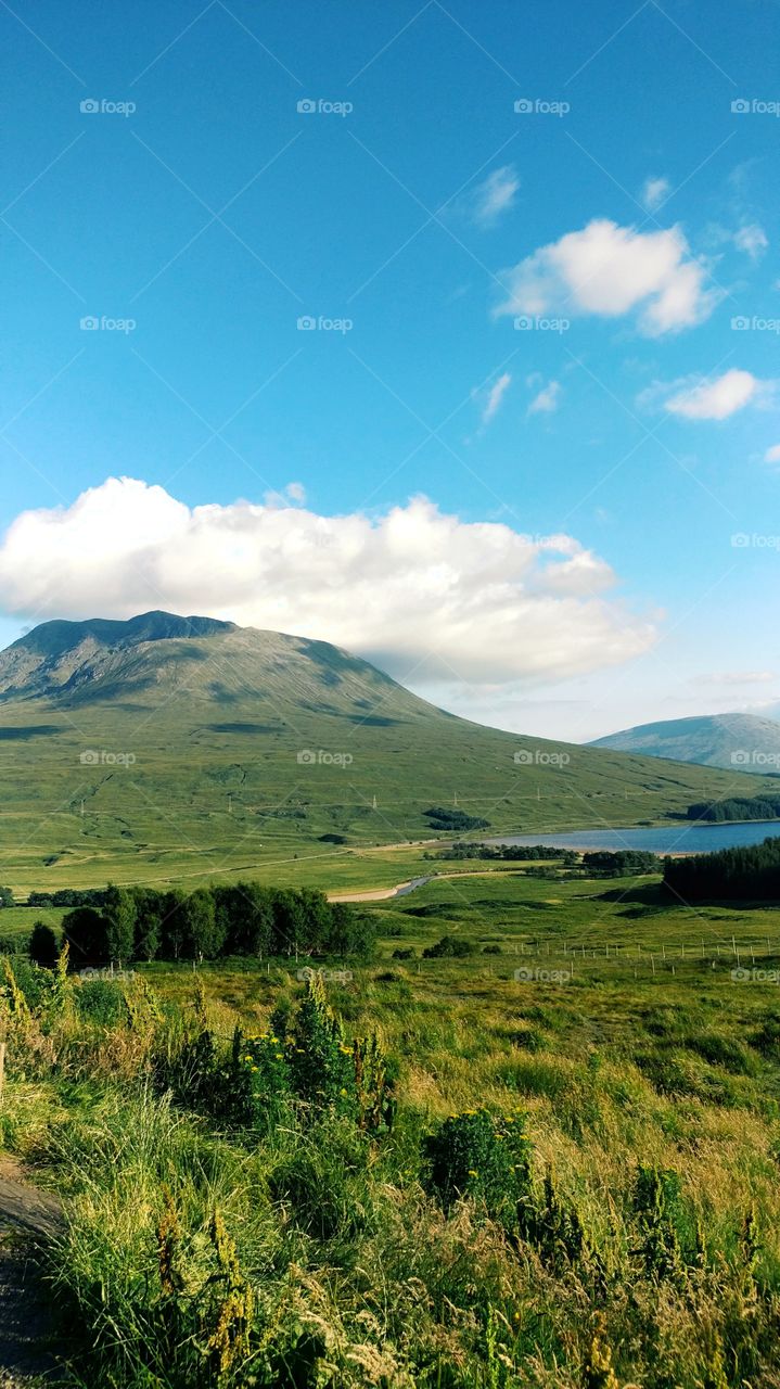 Scottish Cliff