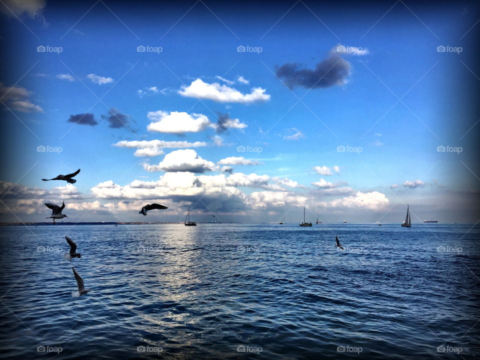 Today someone from above definitely broke a can with blue paint 🎨 🎸