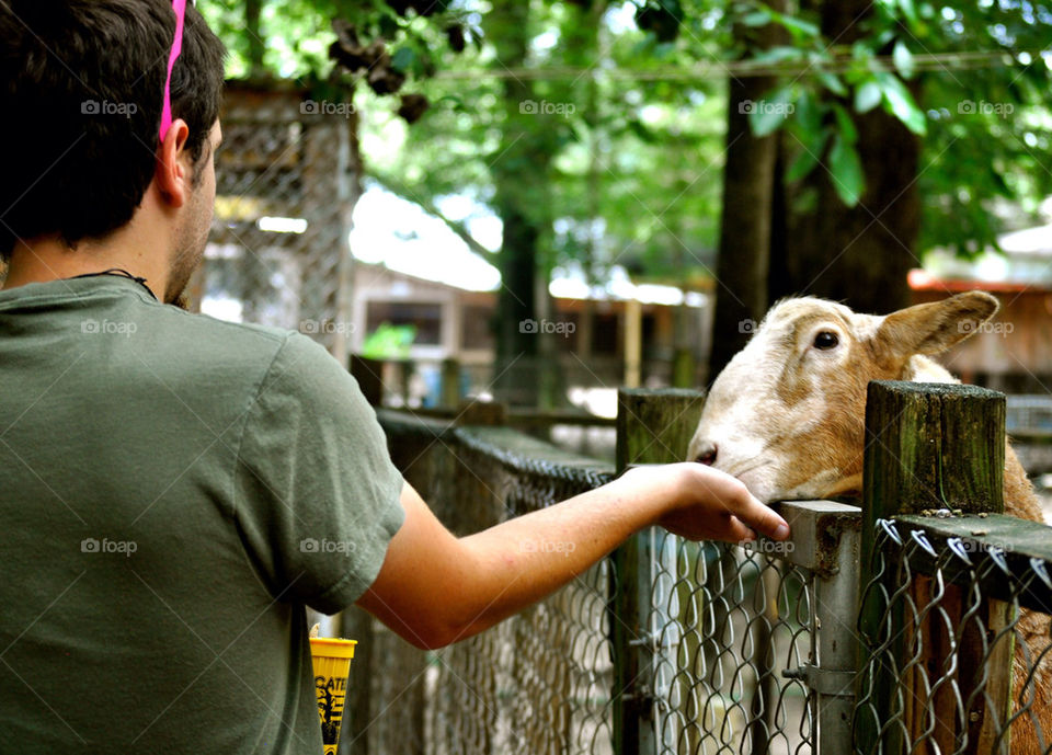 people nature outdoors animal by refocusphoto