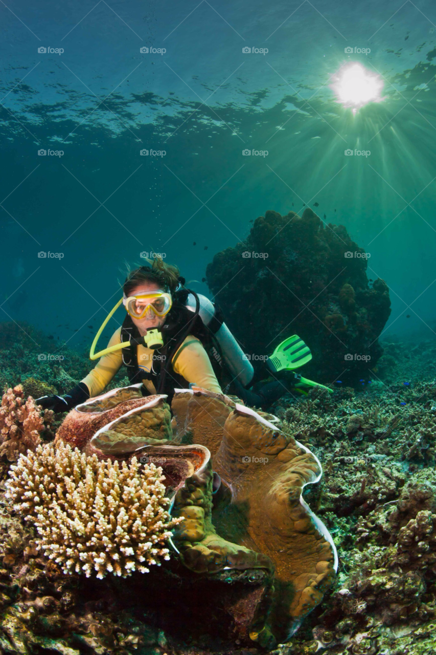 west papua diving sunburst underwater by paulcowell