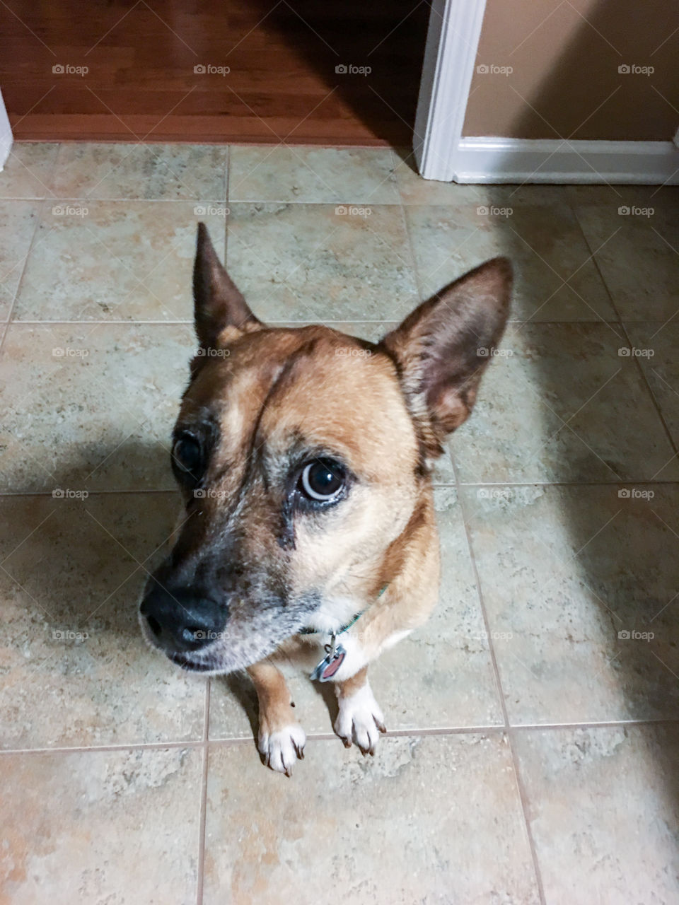 "Is it dinner time?"