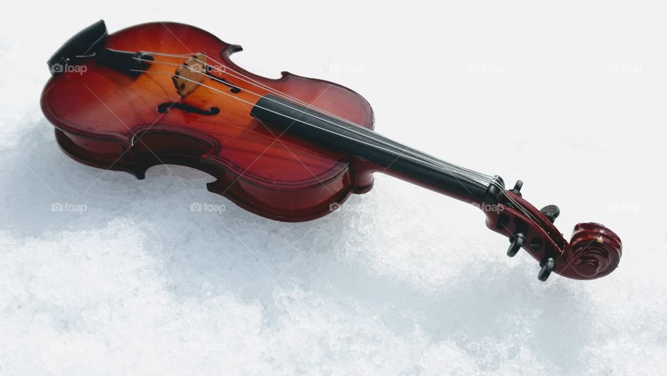 #violin#stringed instrument#classic music#noperson