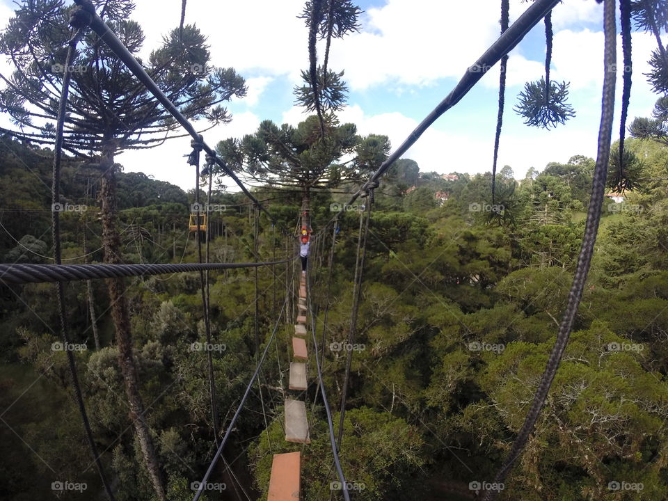 Tourist walking on rope bridge over forest
