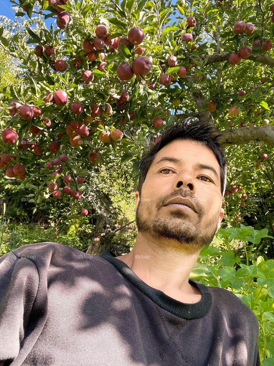 Chilling in Apple garden of Himalaya 