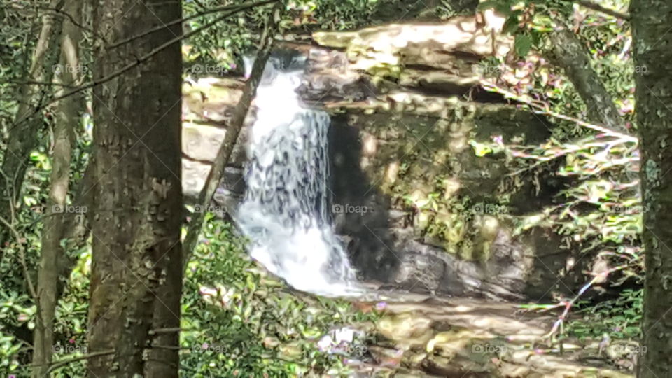 Waterfall from a hike in Georgia
