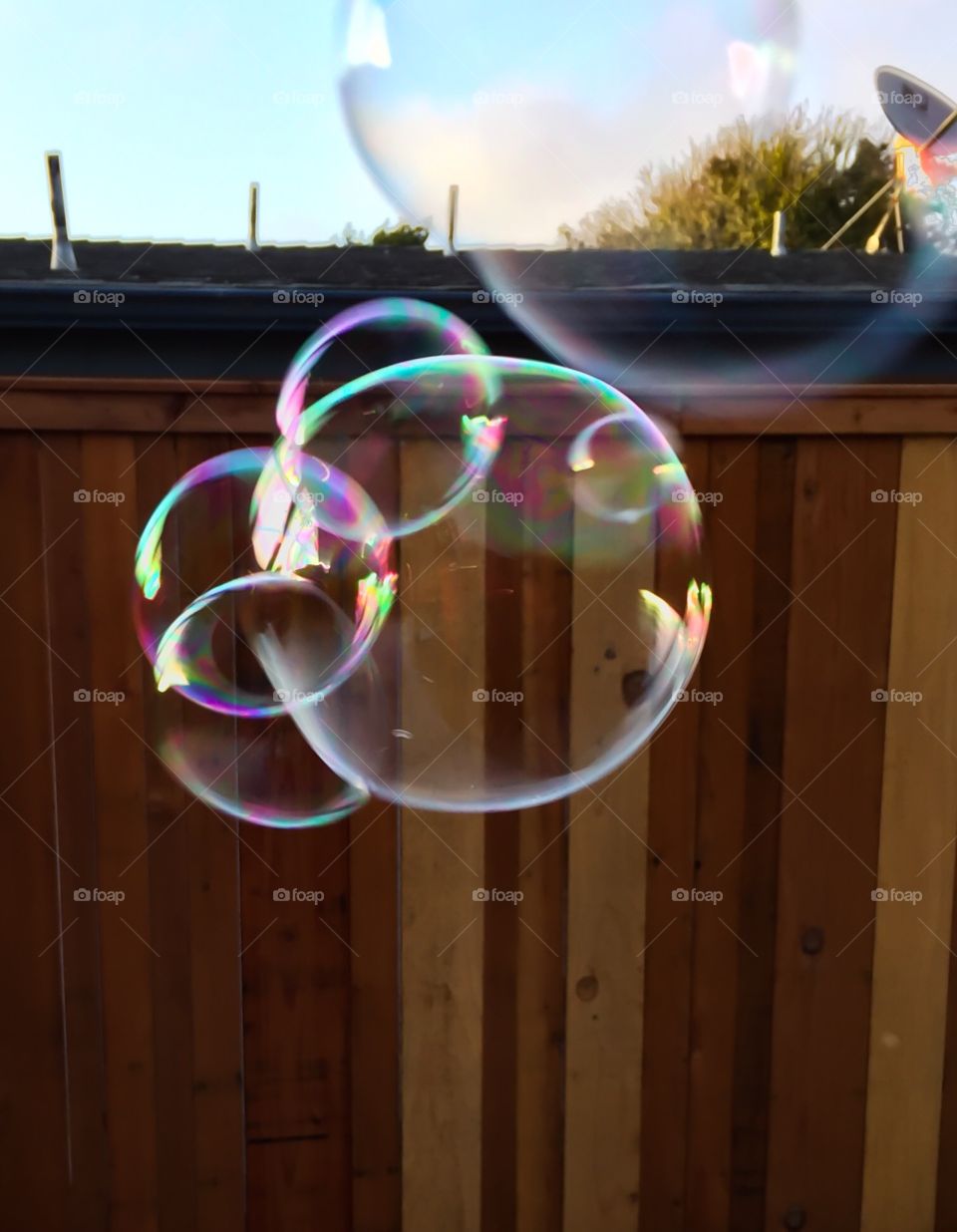 Bubbles