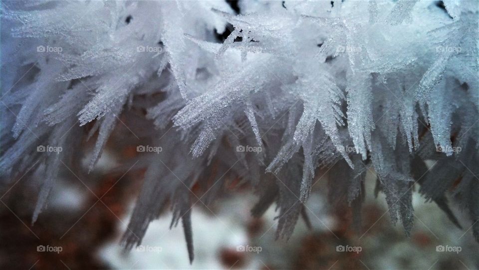 Ice crystals from an early morning winter fog in the Badlands of North Dakota
