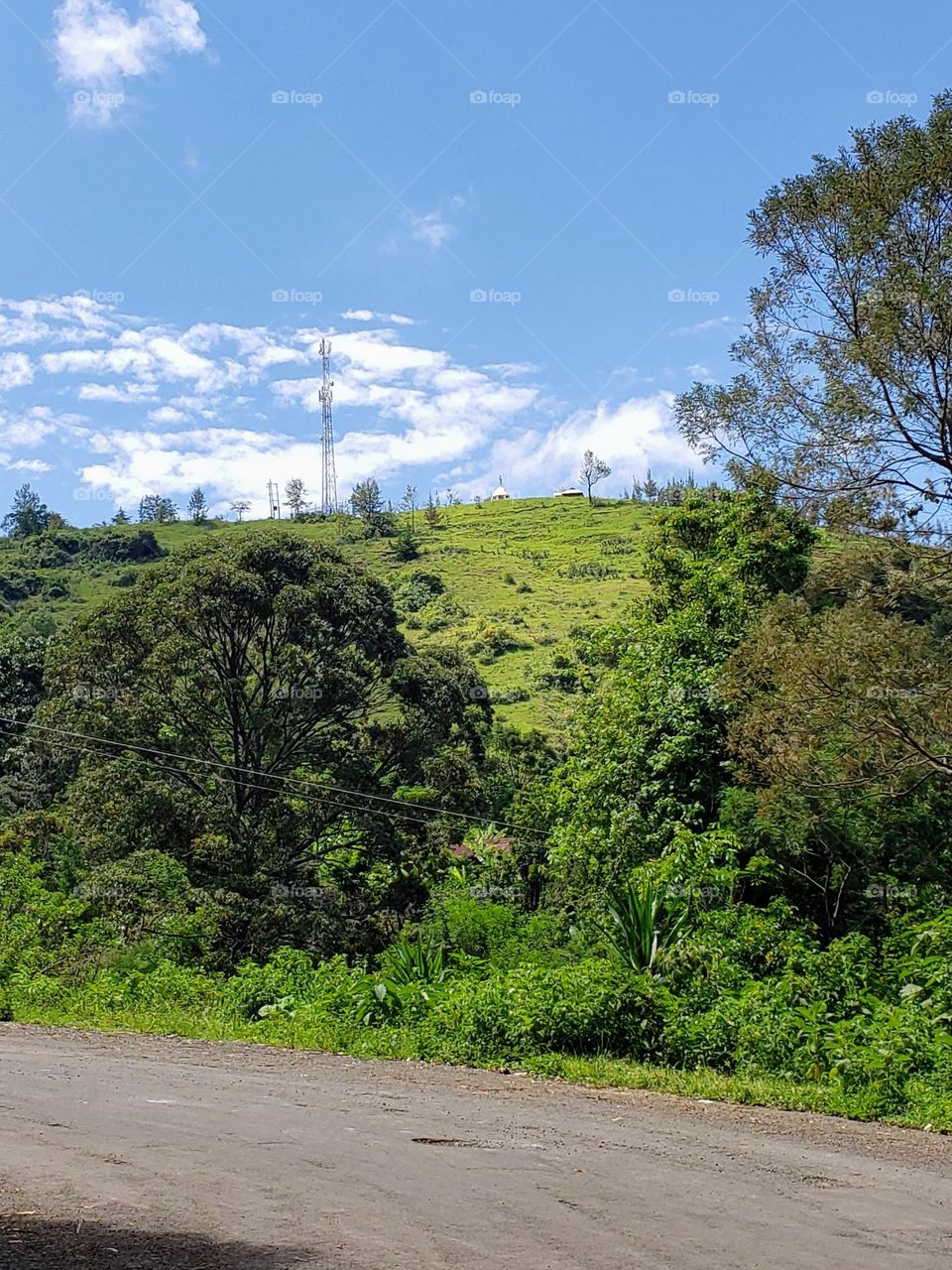 Ngangu Hill found in Kilema, Moshi Tanzania.

May 15, 2023
12:55pm