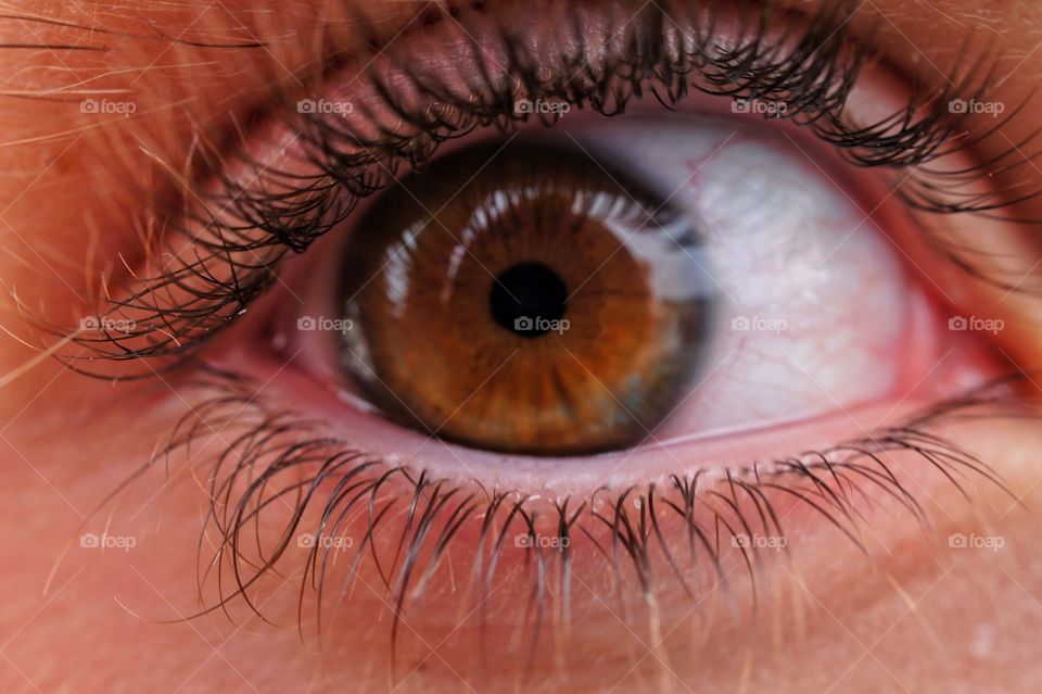 Close-up of human eye