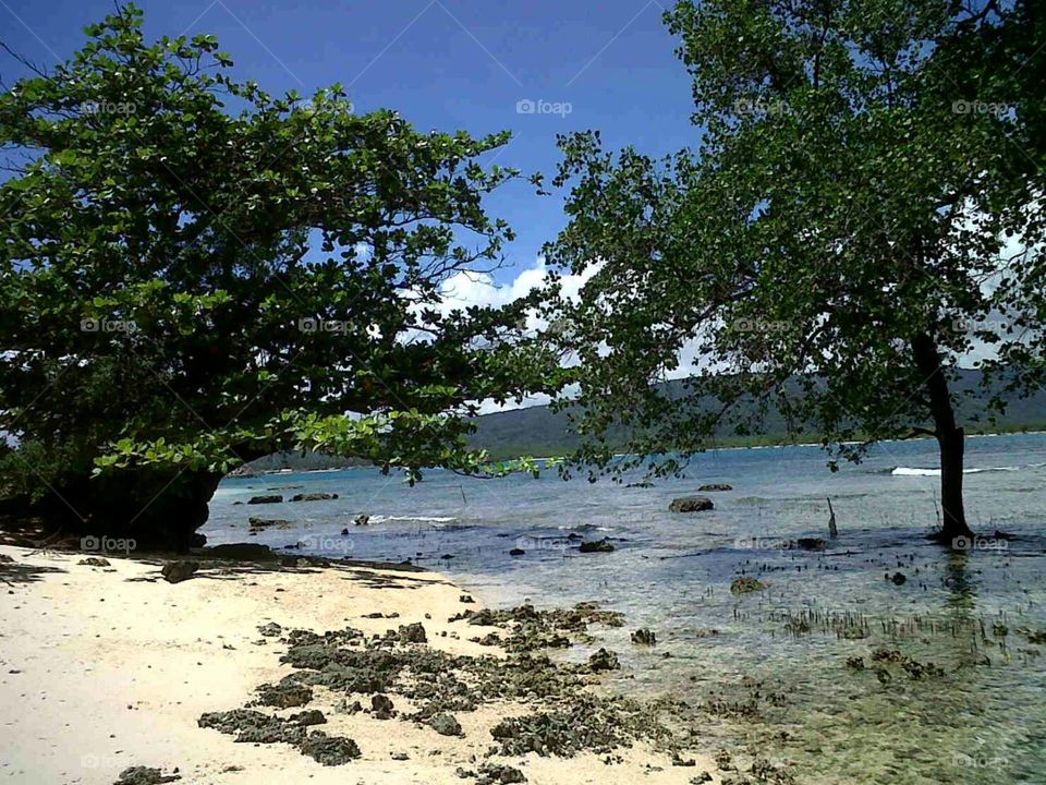 pulau oar