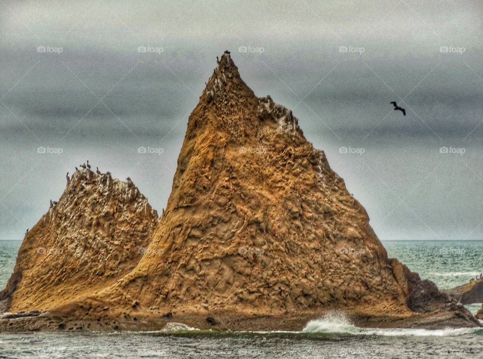 Rocky California Coast. Seabird Nesting Site On Rocky Island Off The Coast Of California
