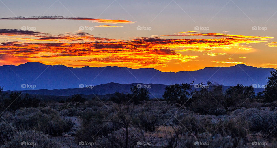 Desert Sunset