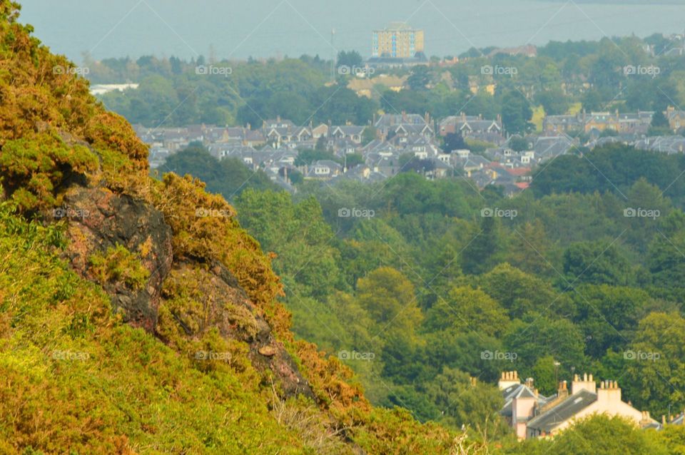 Holyrood park