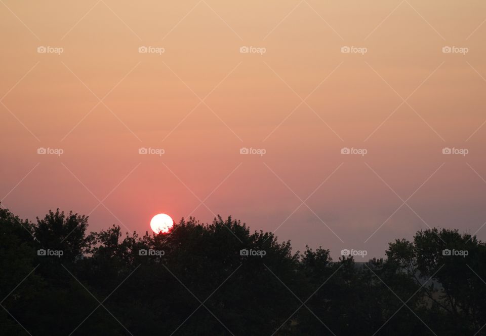 Red sun over the trees against a colorful sky