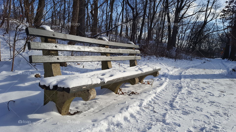 Romance between Bench & Snow