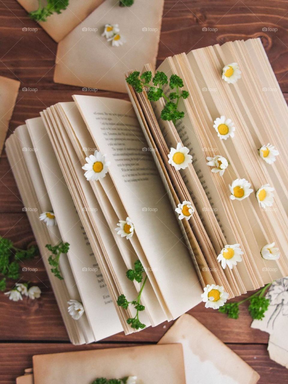 I like to decorate all around me and my world with beautiful chamomile flowers.... My book became many times more beautiful.