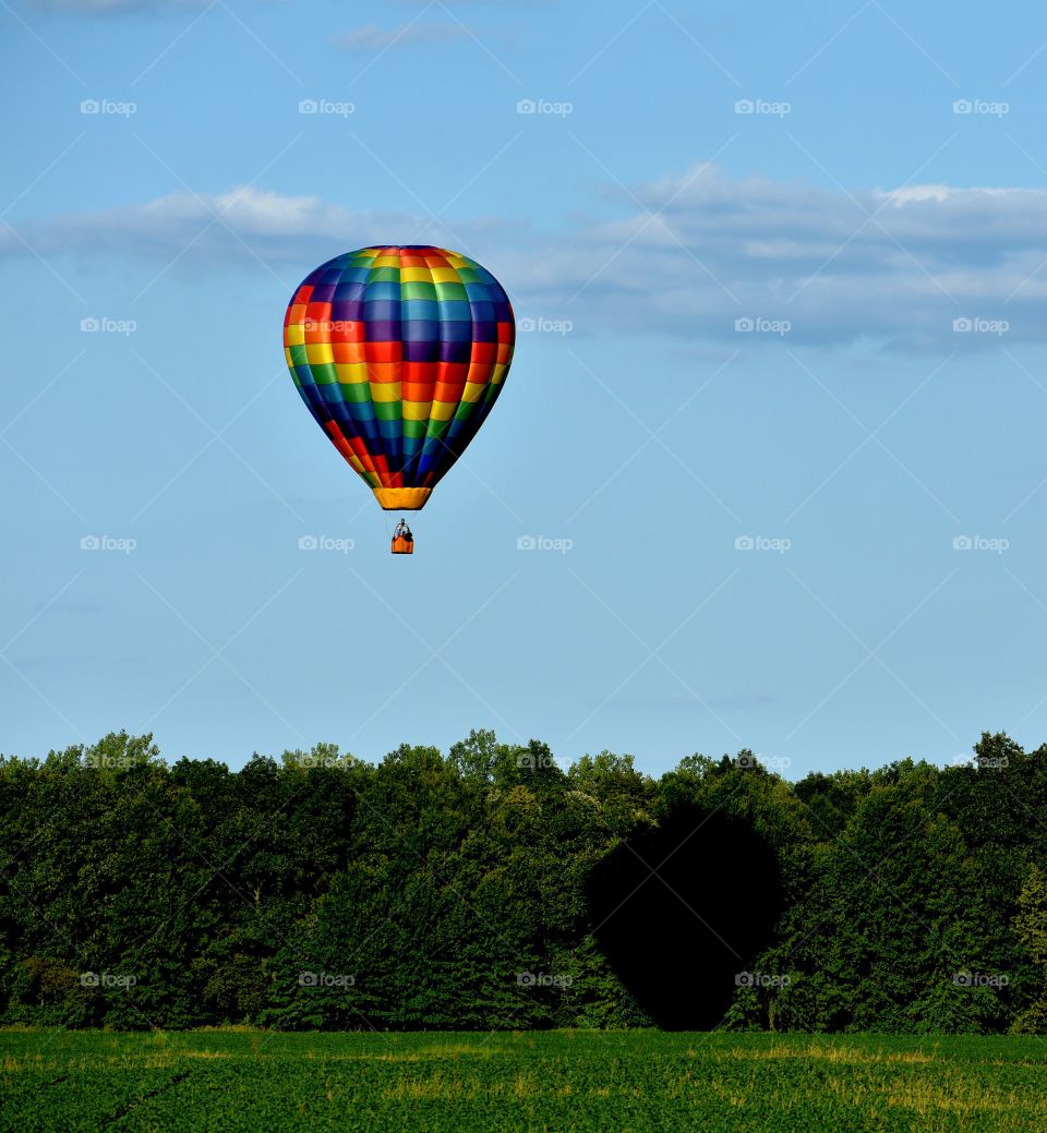 hot air balloon over trees blue sky
