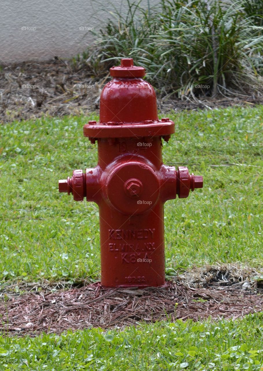 Red Fire Hydrant