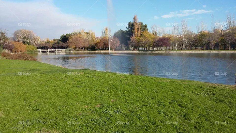 El parque 