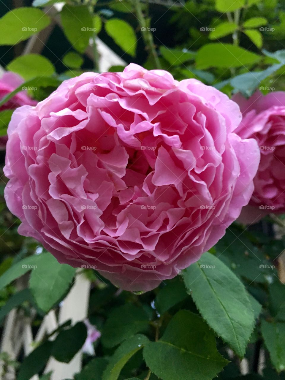 Life comes in all forms.