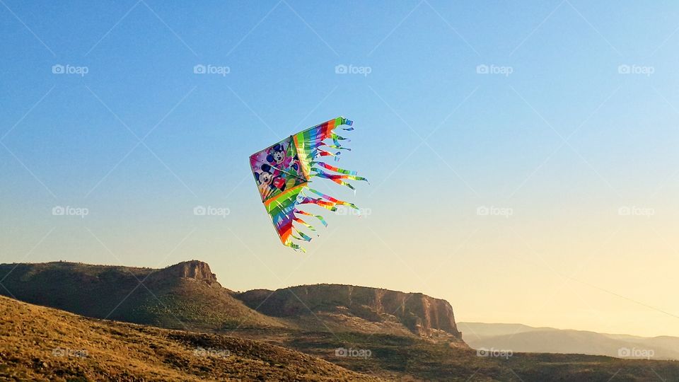 kite