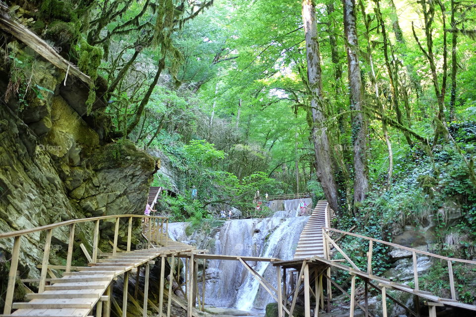 Waterfall in the forest