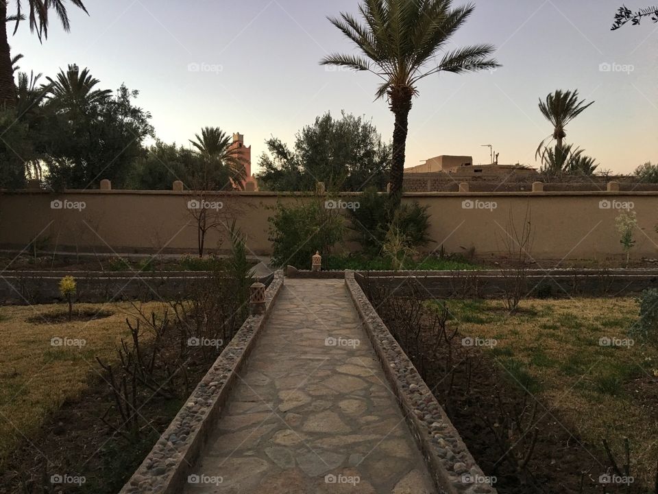 No Person, Tree, Travel, Palm, Water