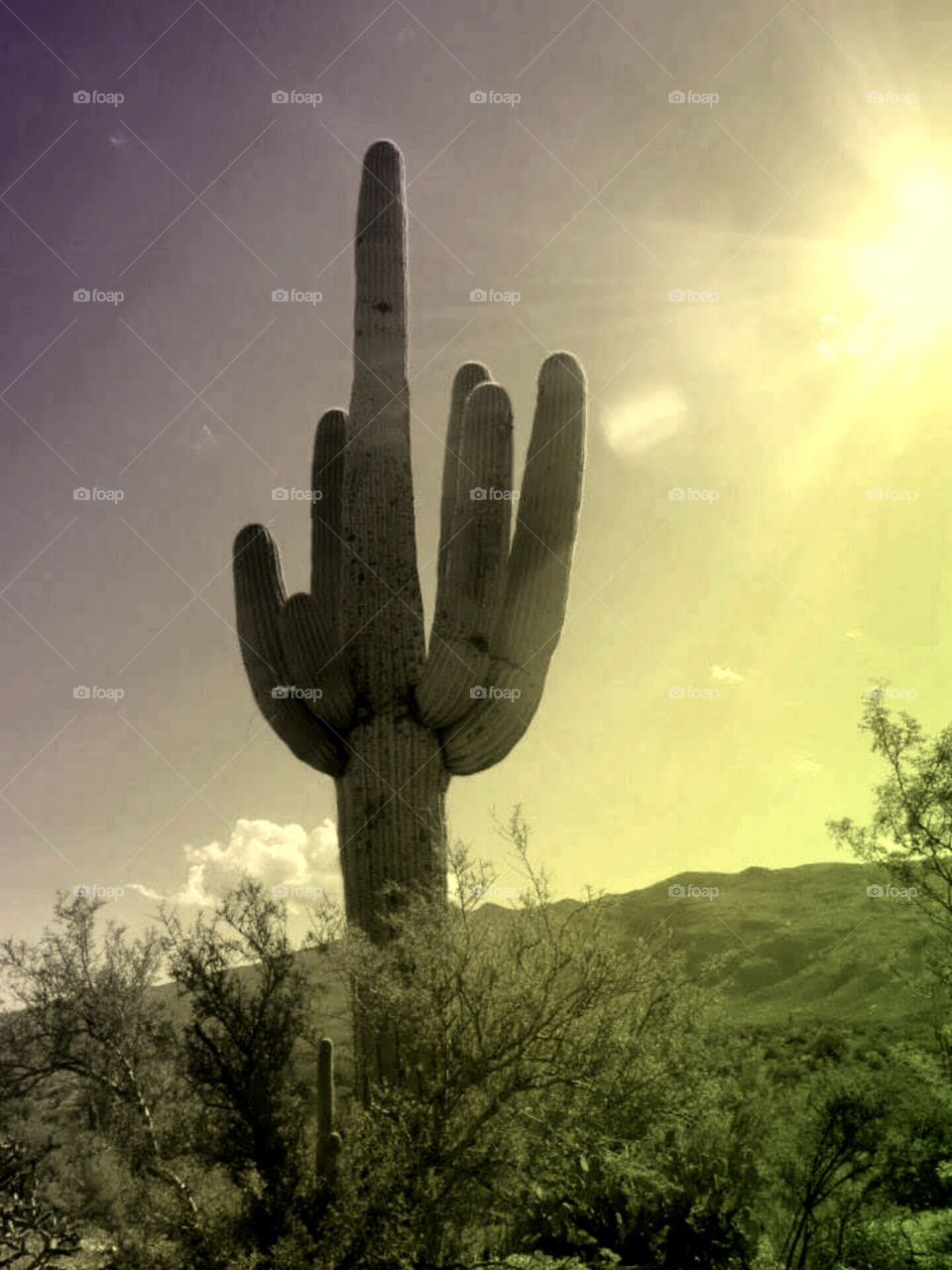 Hand of the Desert God