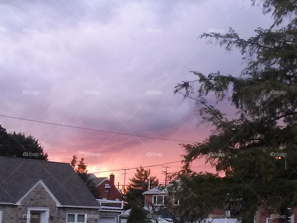 Pink Sunset over neighborhood