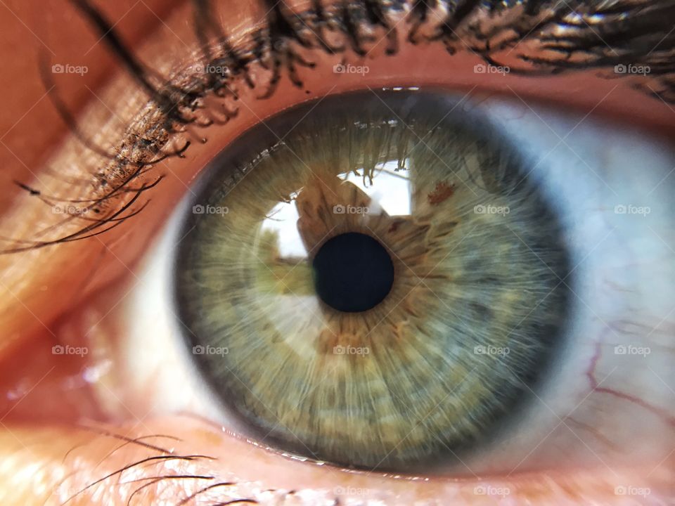 Macro shot of eyeball