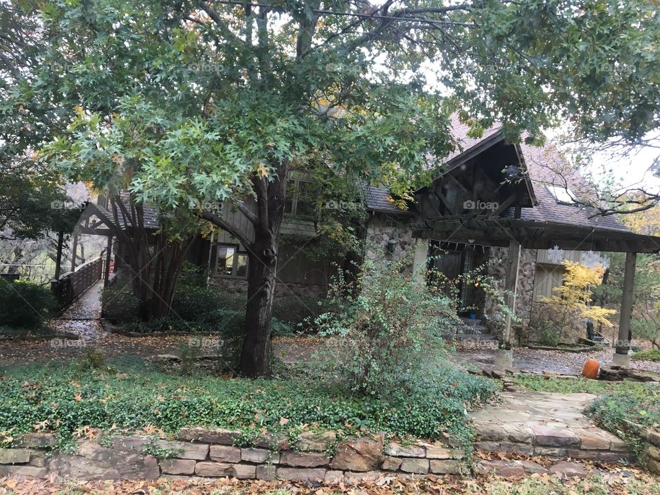 a house hidden in the woods of Texas 