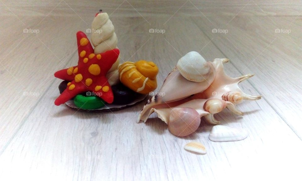shells