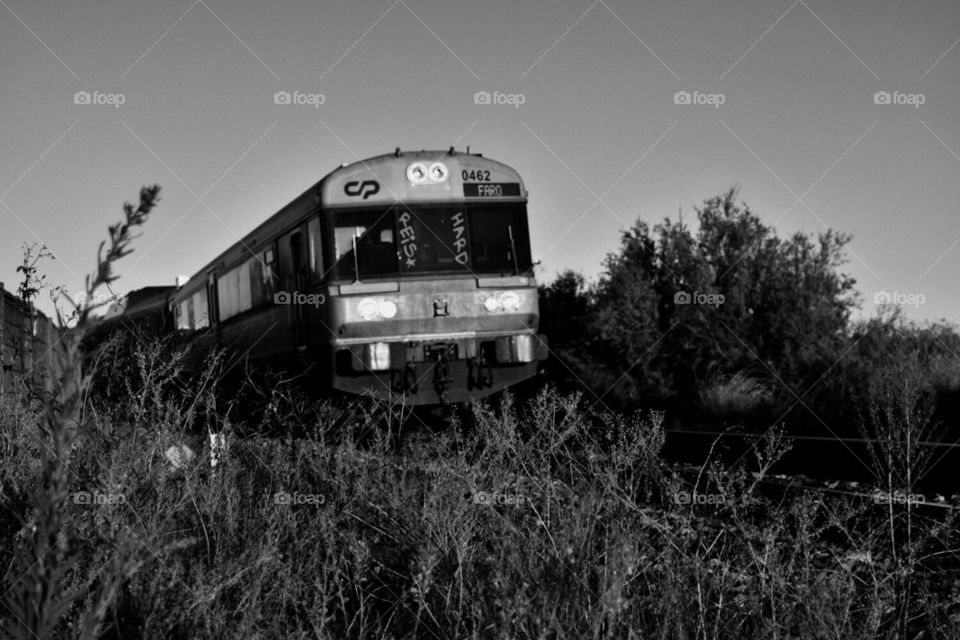 Tren abandonado en Portugal