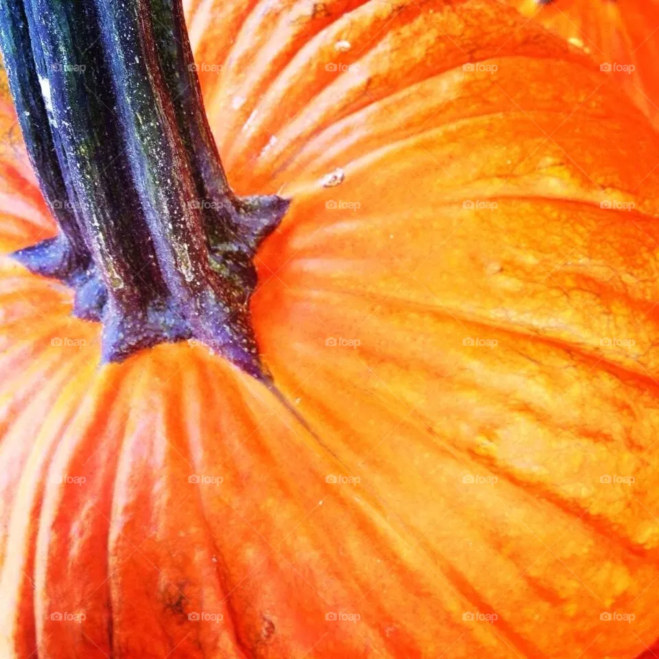 Stem