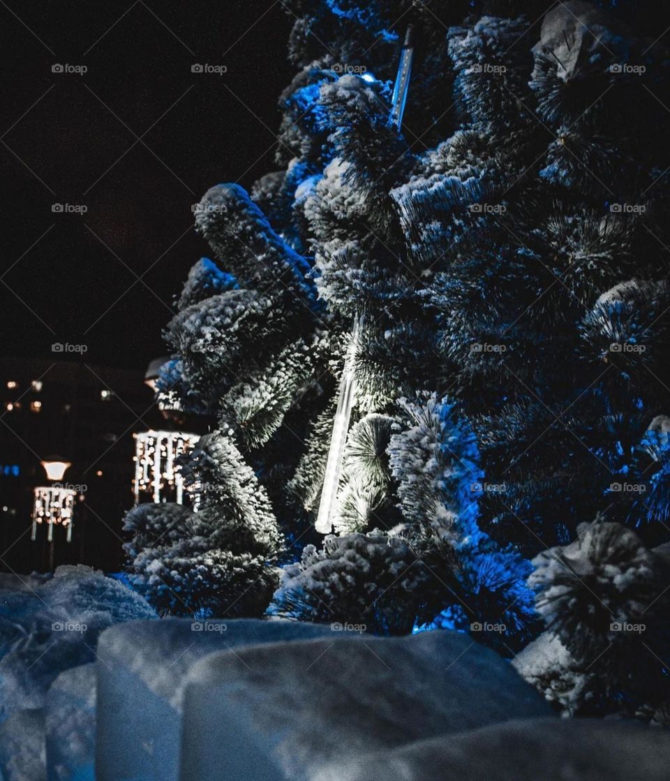 Ночная Красота