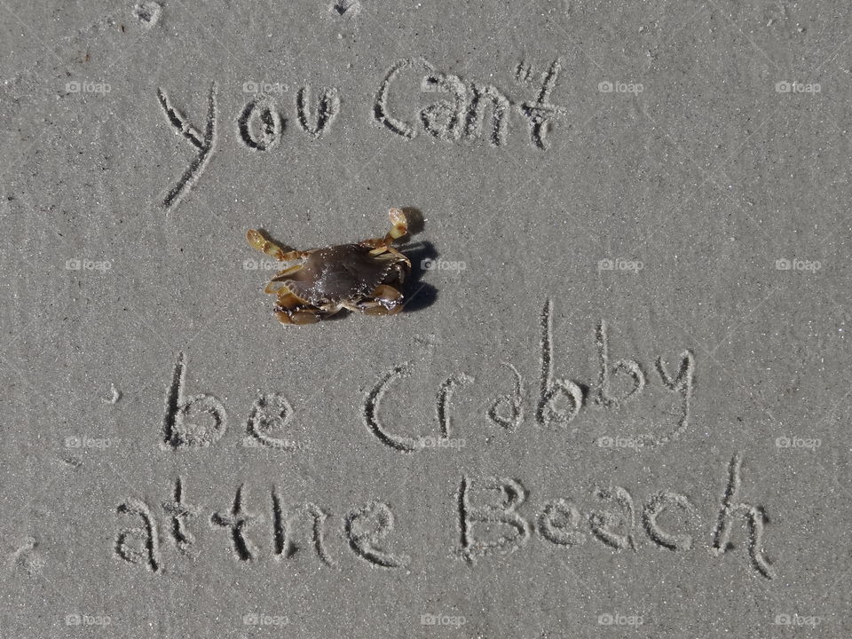 You can't be crabby at the beach