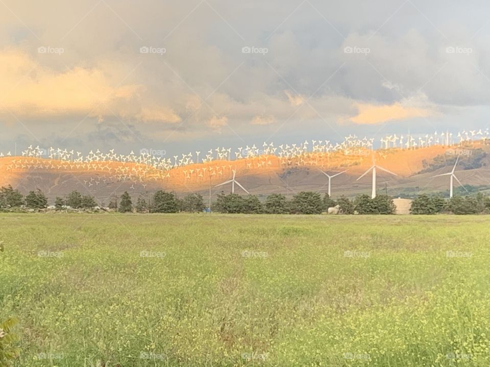 Wind Turbines sunset