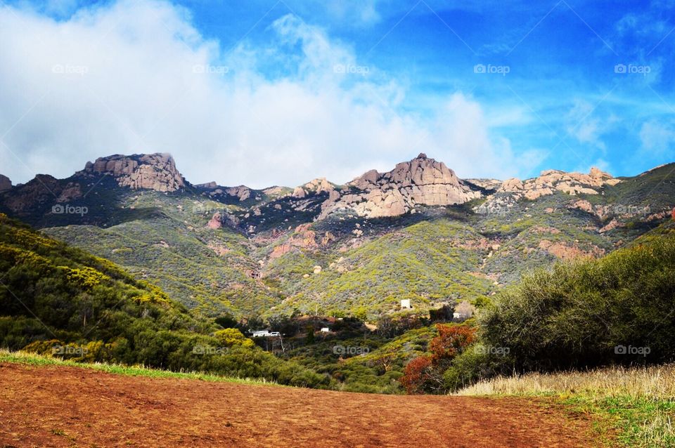 Malibu View