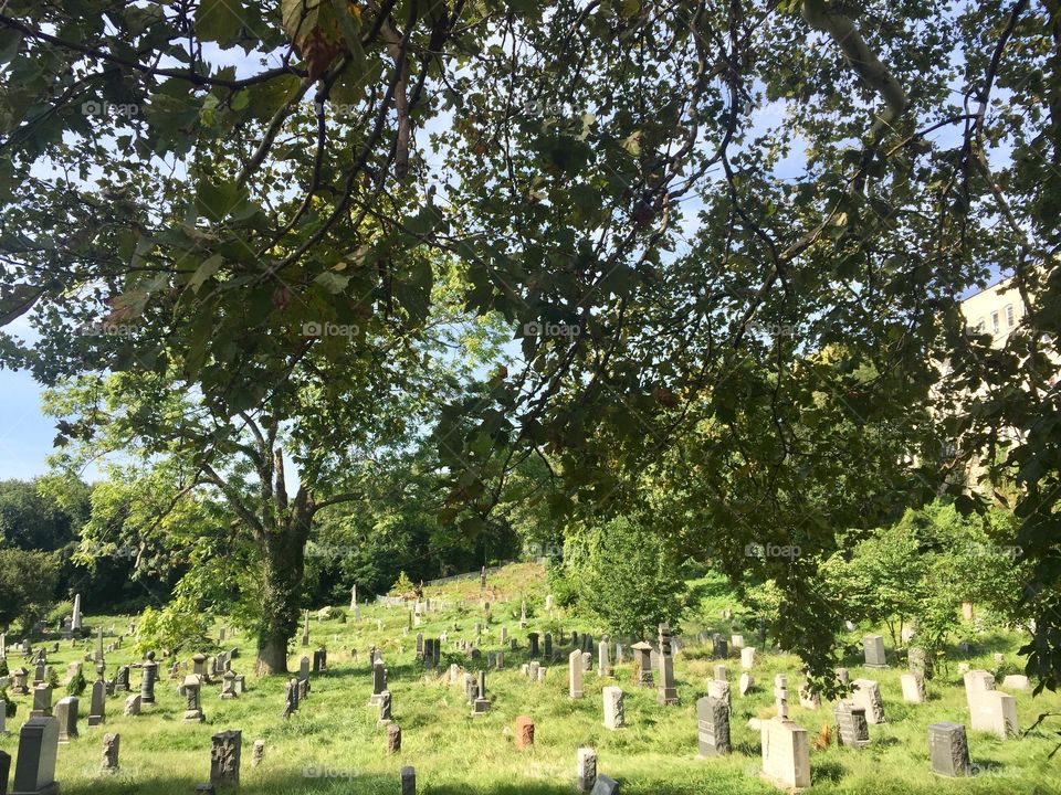 Jersey City cemetery 