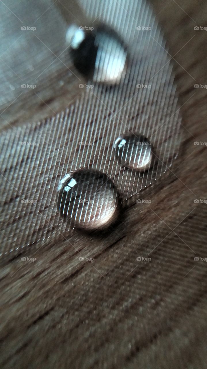 drops